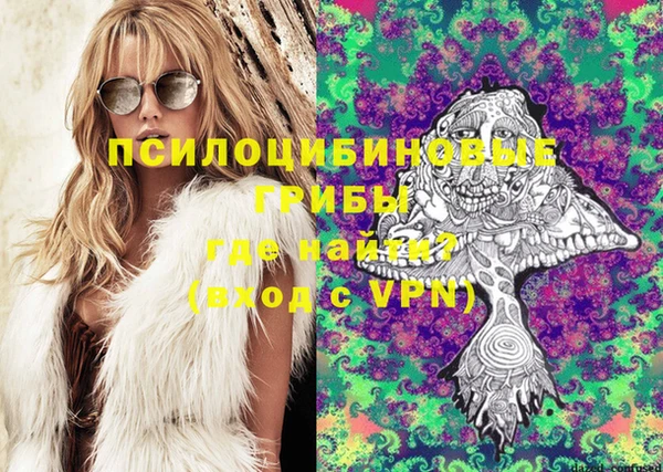 герыч Каменногорск