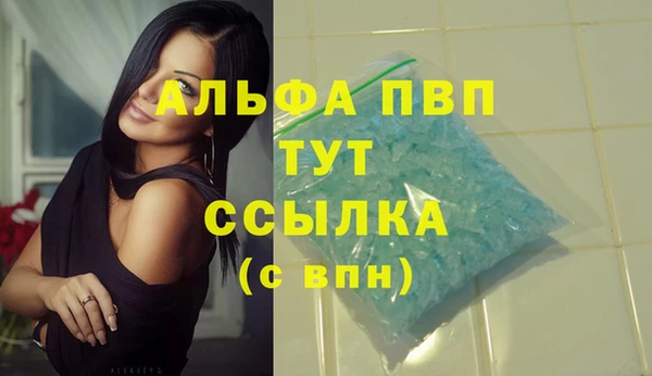 гидра Каменка