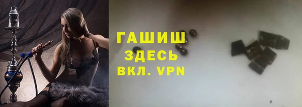 гидра Каменка