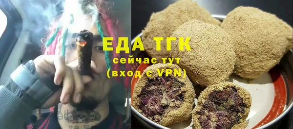 гидра Каменка