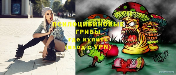 гидра Каменка
