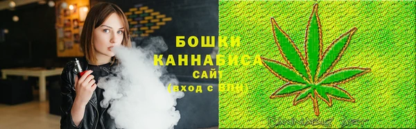 гидра Каменка