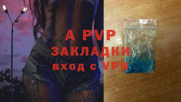 гидра Каменка