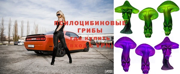 гидра Каменка
