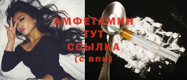 гидра Каменка