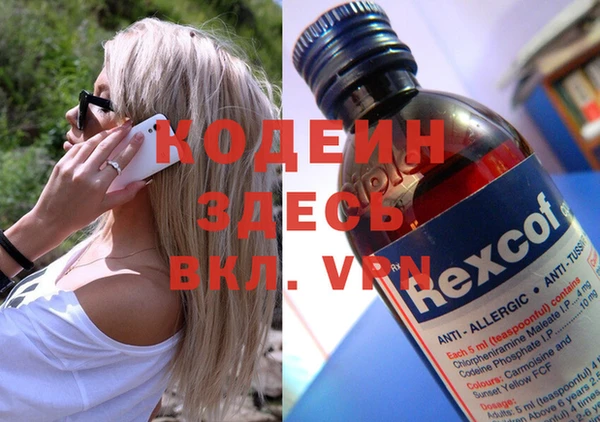 гидра Каменка