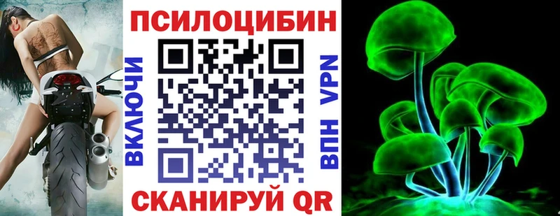 Купить закладки  Энгельс  Галлюциногенные грибы Psilocybine cubensis 