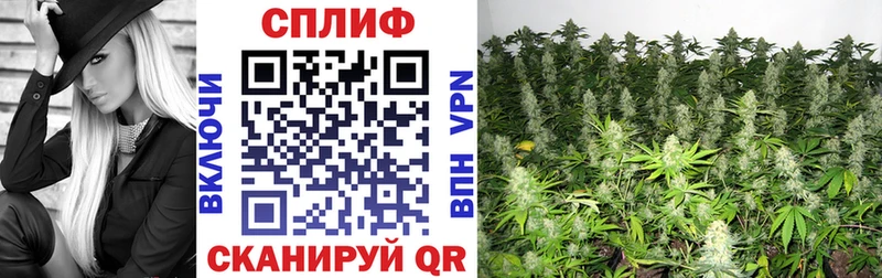 Конопля LSD WEED  Купить закладки  Энгельс 